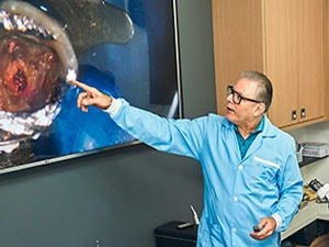 Curso de Acidentes e Complicações em Endodontia - Imersão