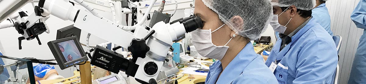 Curso de Microscopia Operatória - Imersão.