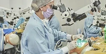 Modular de Endodontia Avançada com Microscopia